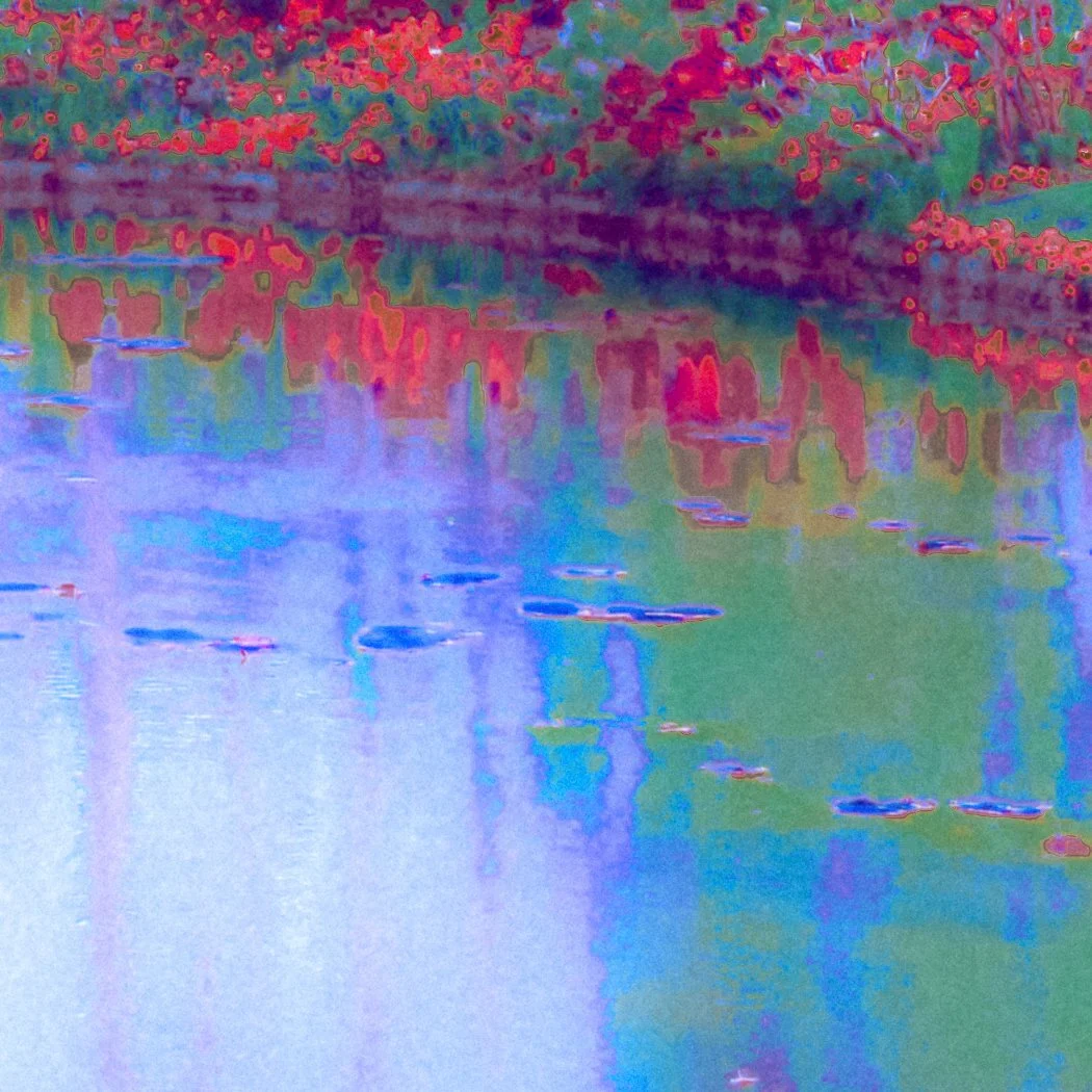 DSCF2405-2.jpg