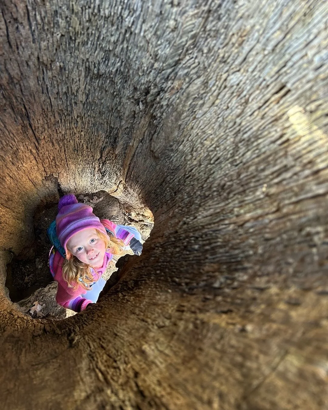 A solstice hike brought us back to the woods after being away for too long.  Such peace and joy.