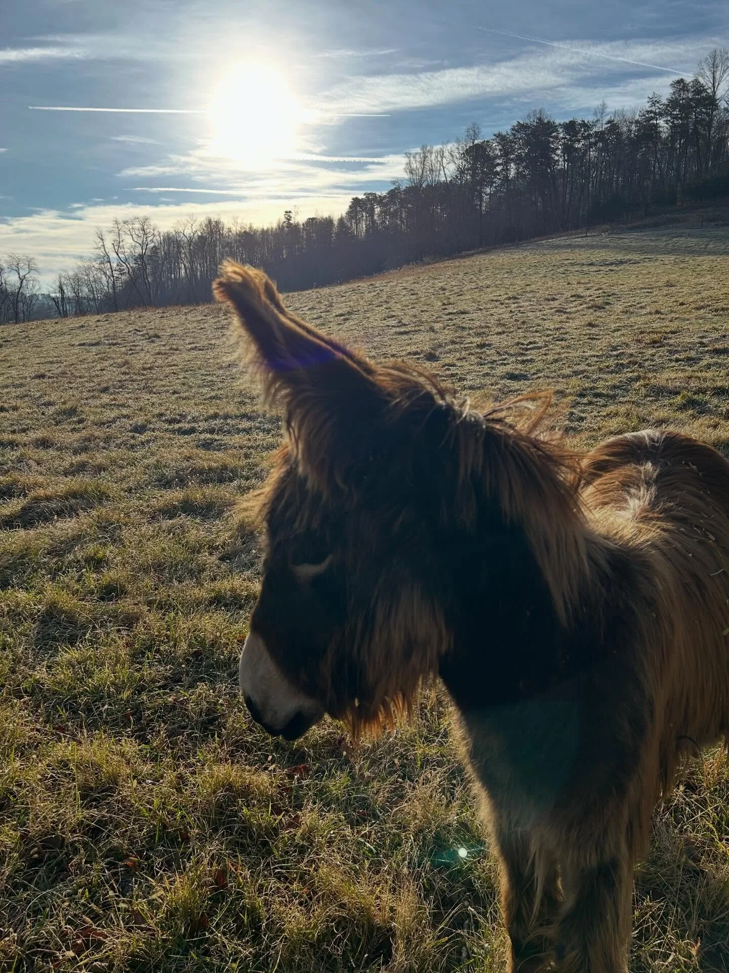 Love this sweet girl!!