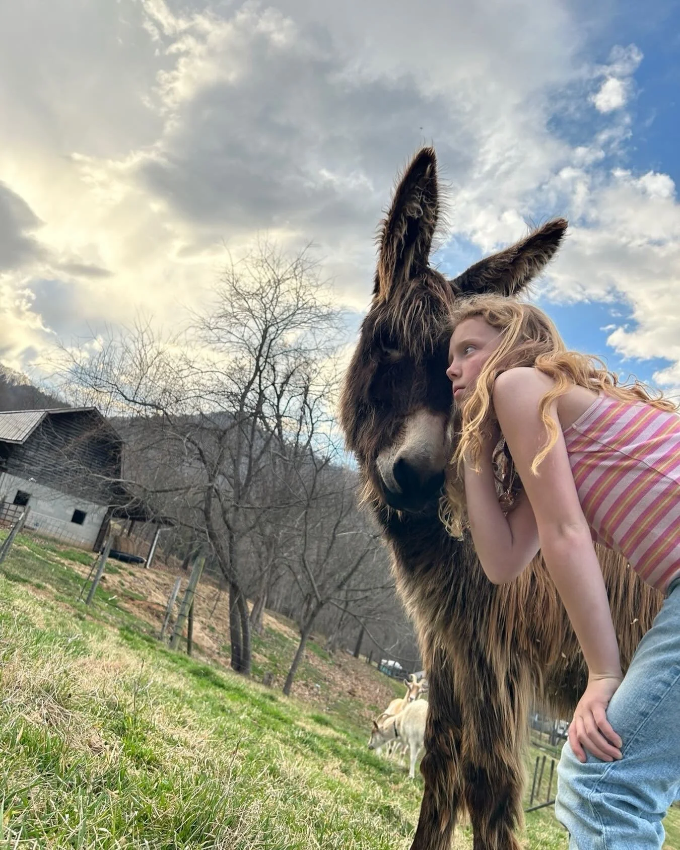 Just a girl and her donkey sharing secrets.