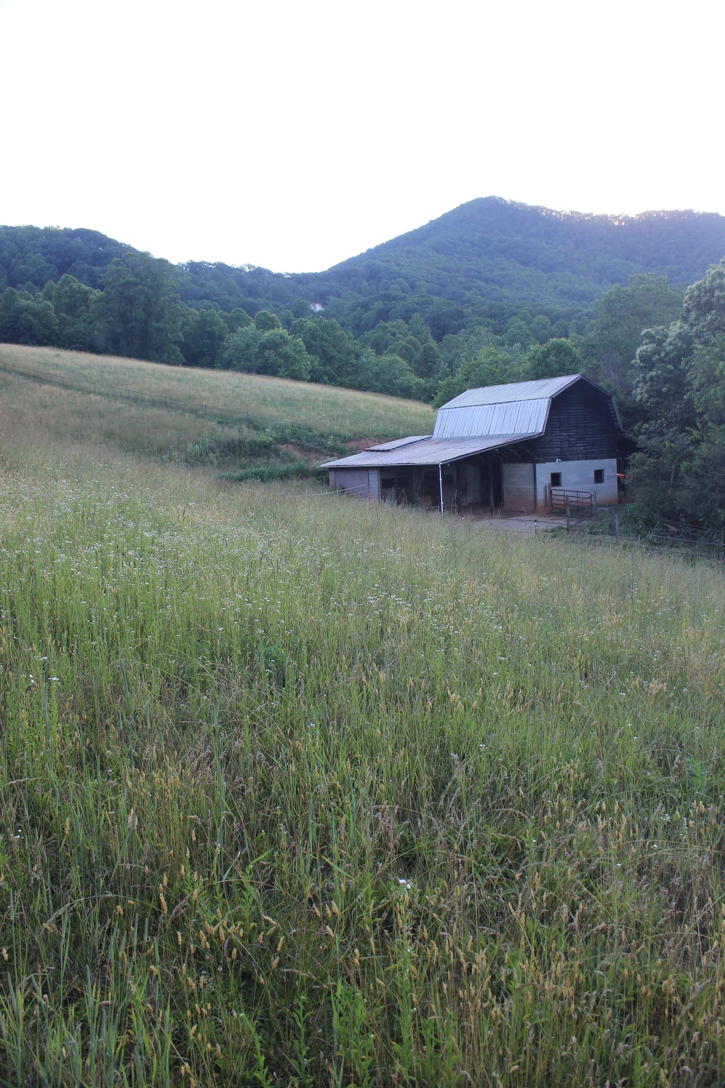 Gina Raicovich, Real Estate Agent & Land Consultant