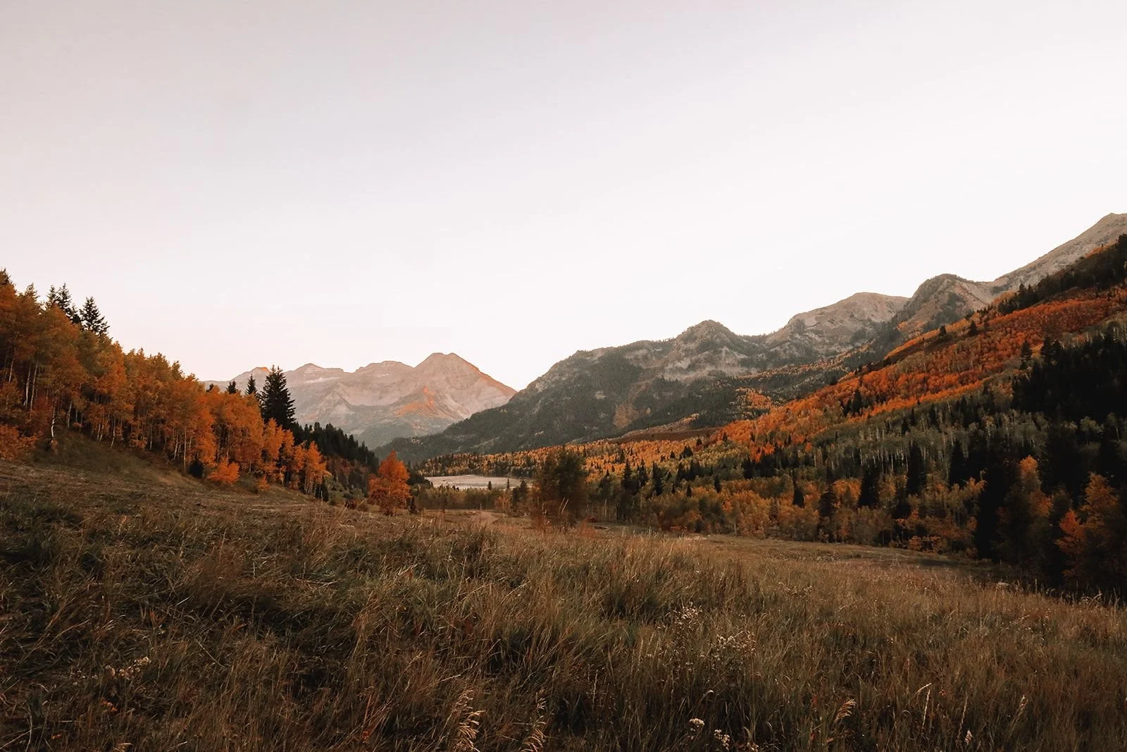 Scenic autumn mountain landscape in Cottonwood Heights, Utah, showing golden aspen trees and peaks near Big and Little Cottonwood Canyons.