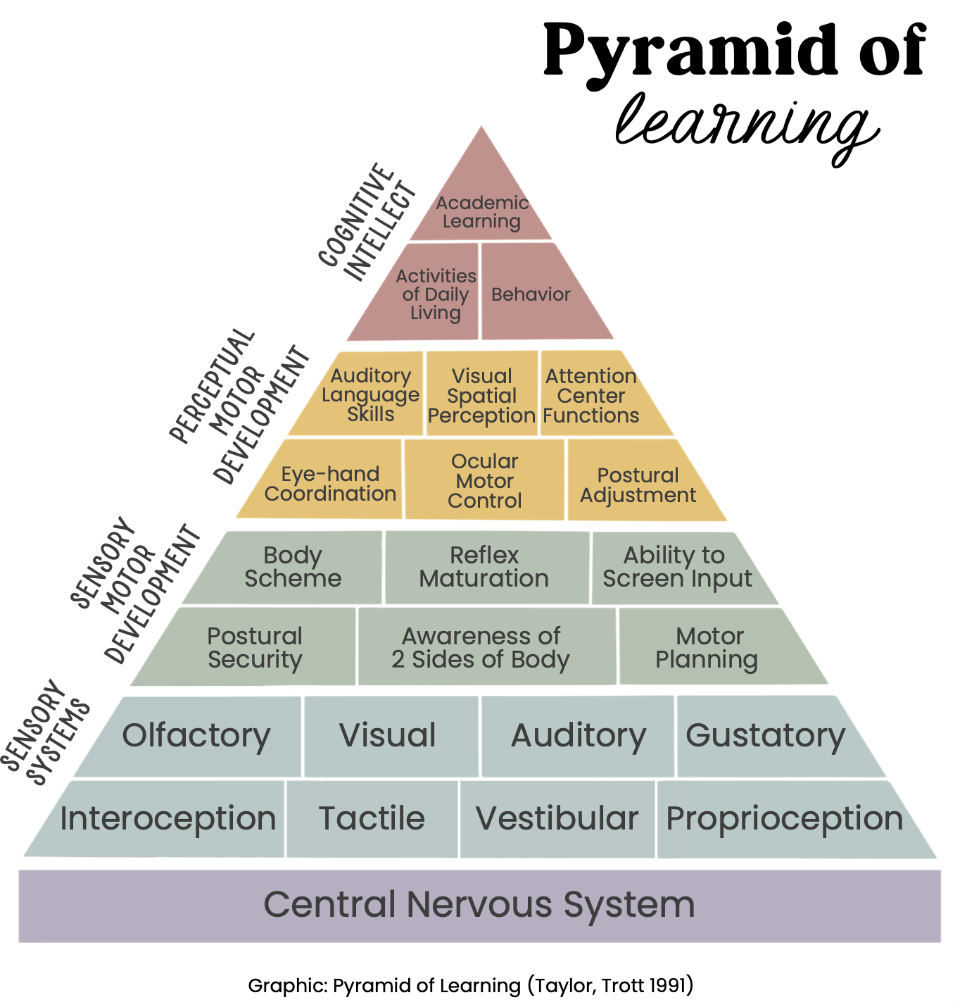 The 8 Sensory Systems That Support Learning and Behavior 