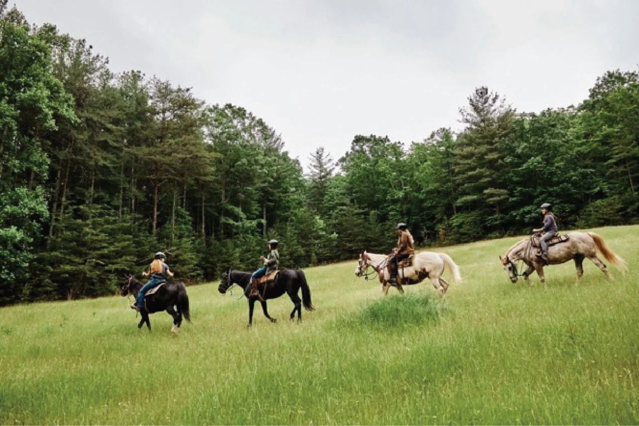 Four people riding horses across a grassy field with a tree line in the background.