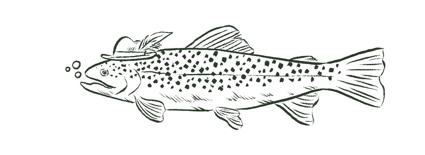 Illustration of a fish wearing a hat, with bubbles near its mouth.