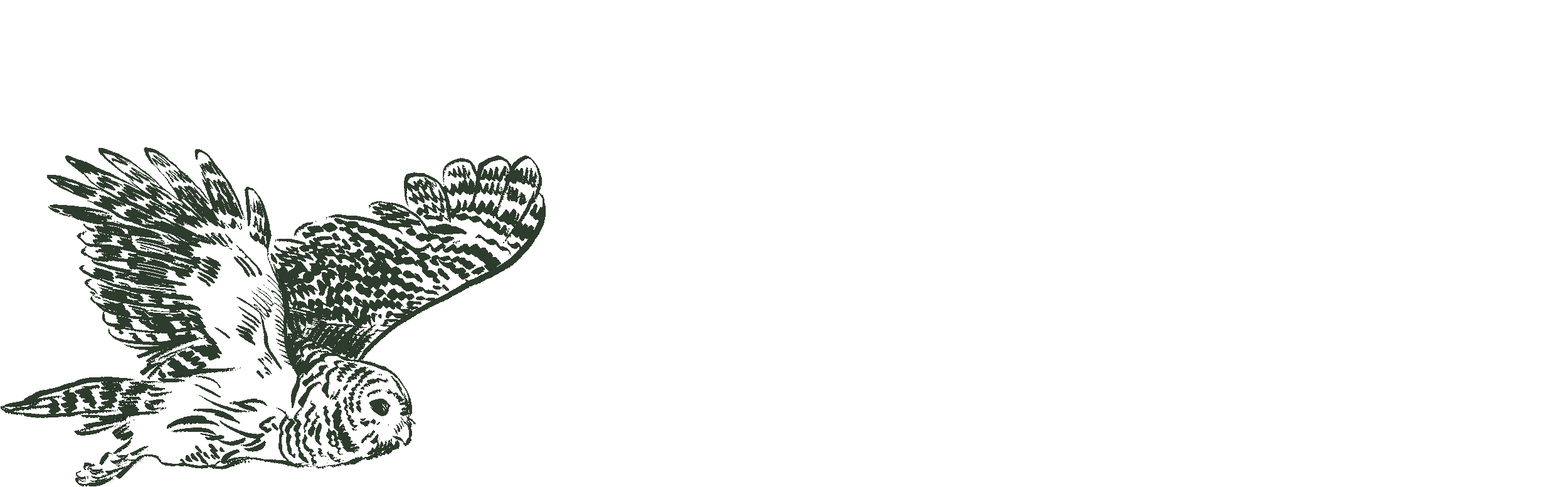 An illustration of an owl.