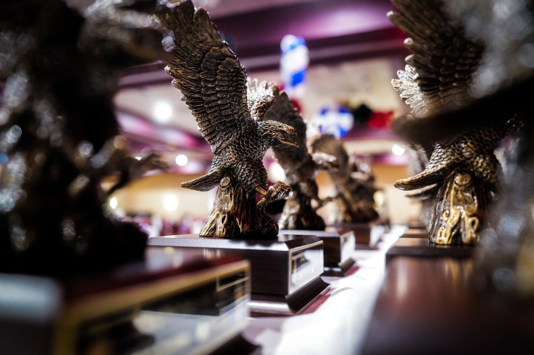 Soaring in Service: Celebrating Our Largest Class of Eagle Award Honorees