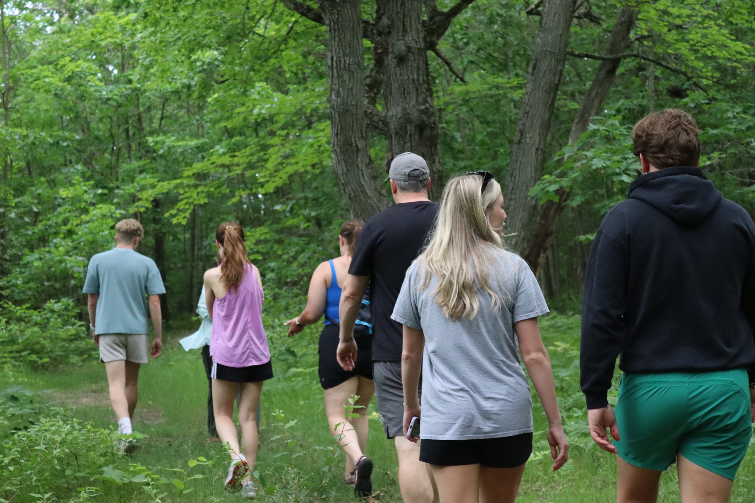 Group of people hiking on a forest trail among green trees.