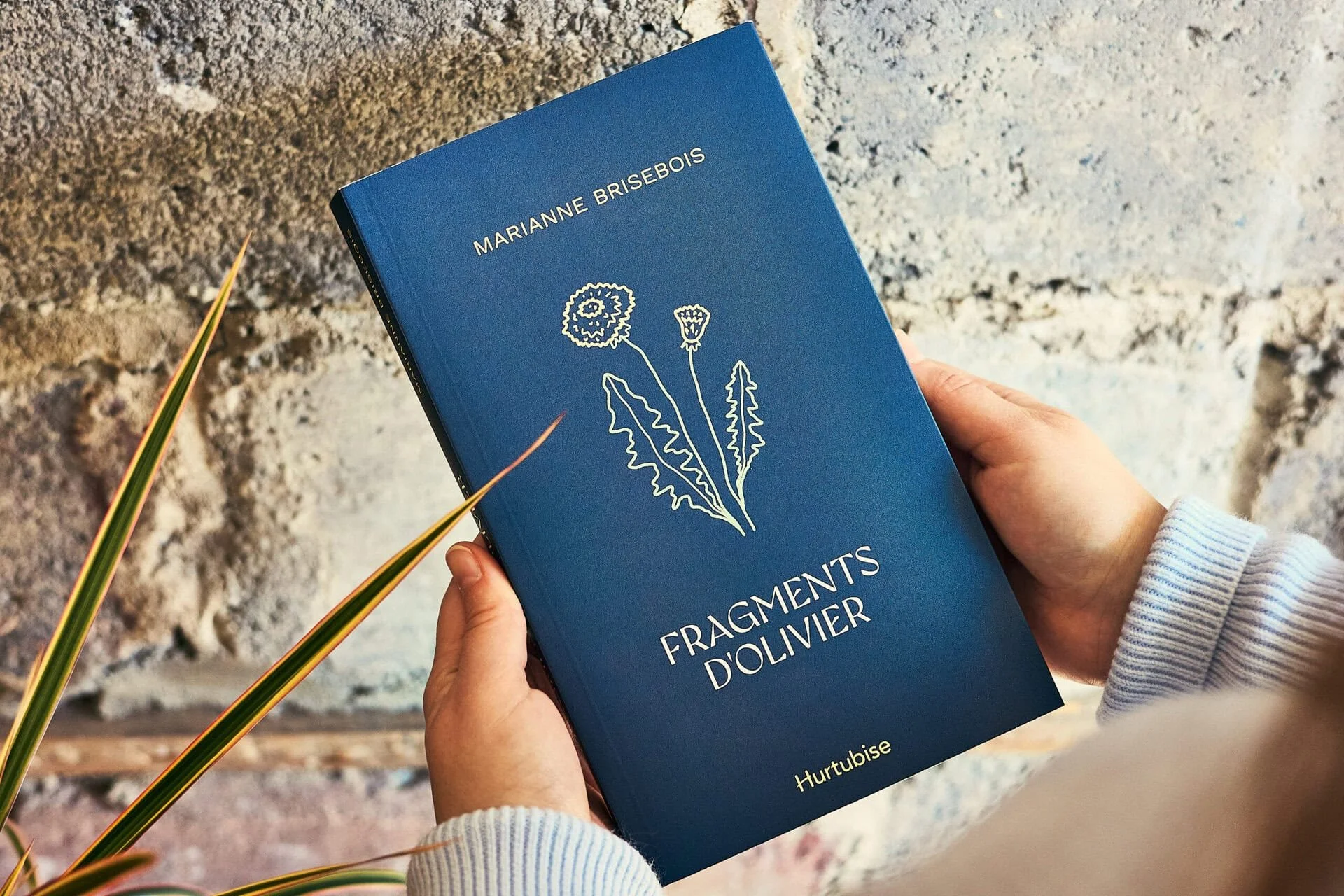 ILLUSTRATIONS - Éditions Hurtubise