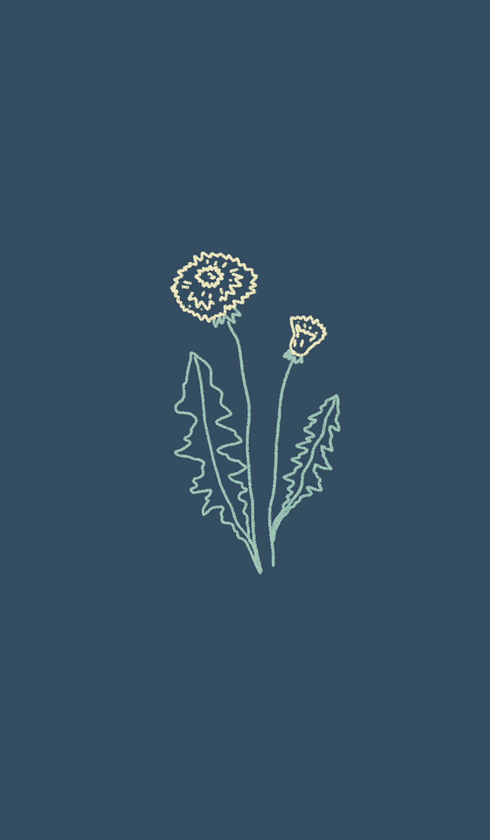 Plan de travail 6.png