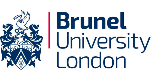 Brunel University London logo with a crest and the university name in blue text.