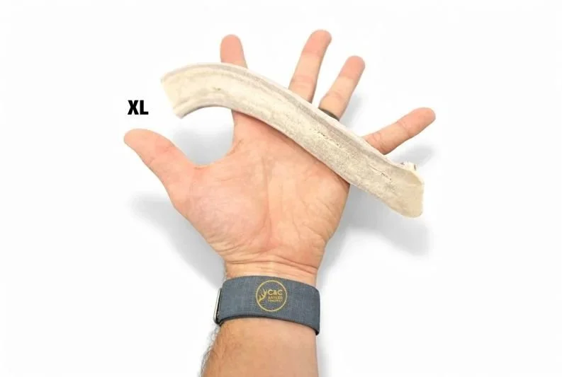 Deer+Antler+Dog+Chews+-+Split+Bases+XL.jpg