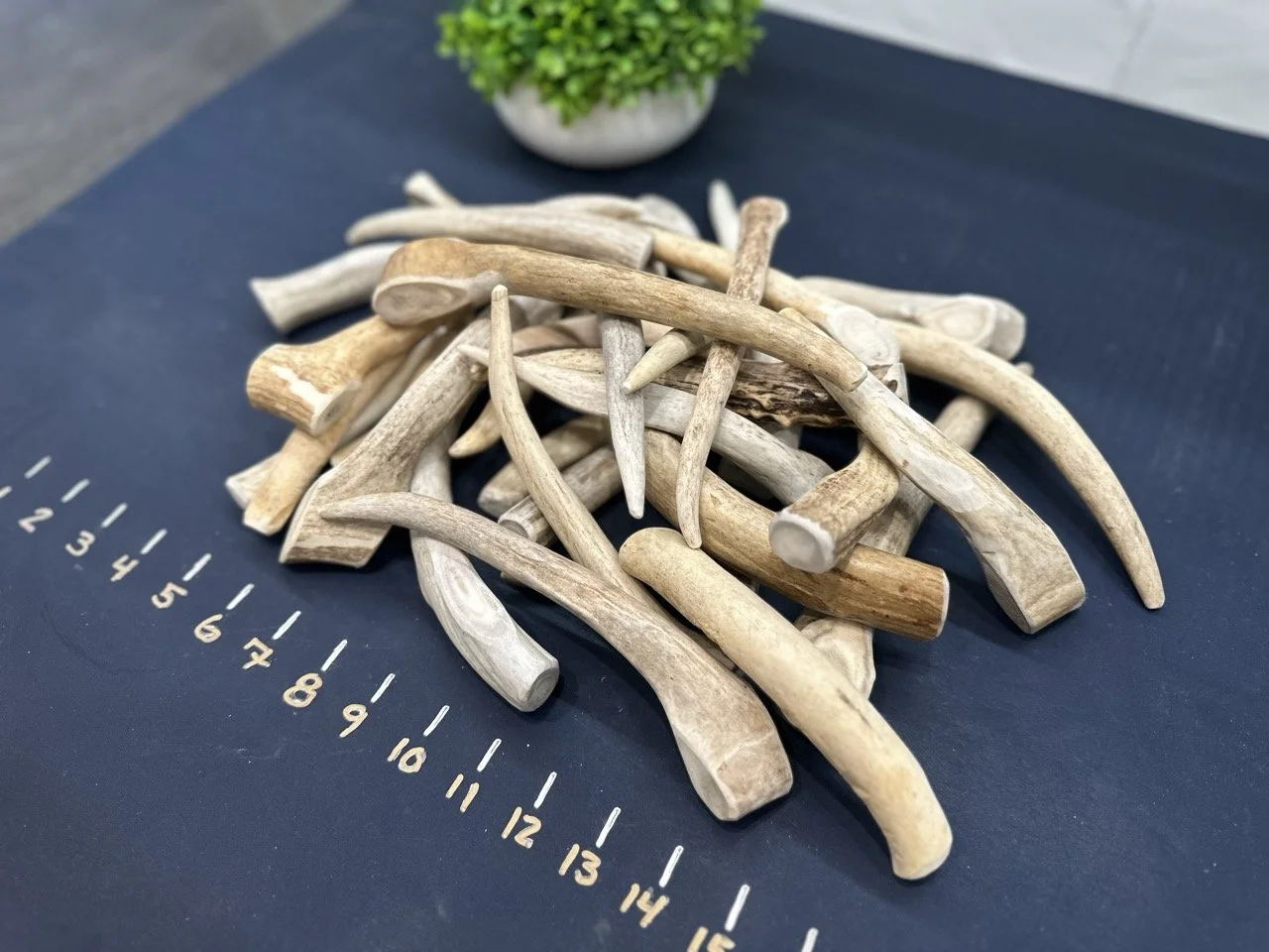 Deer Antler Dog Chews - Tines