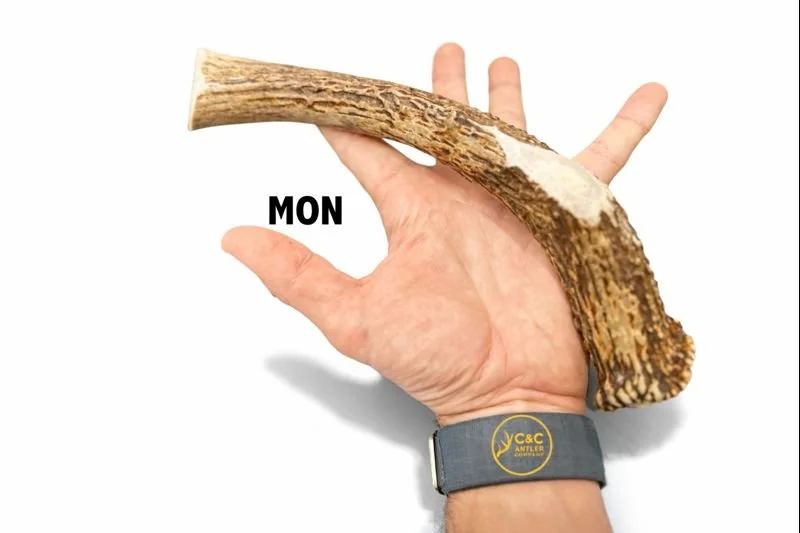 Deer Antler Dog Chew Base Monster.jpeg