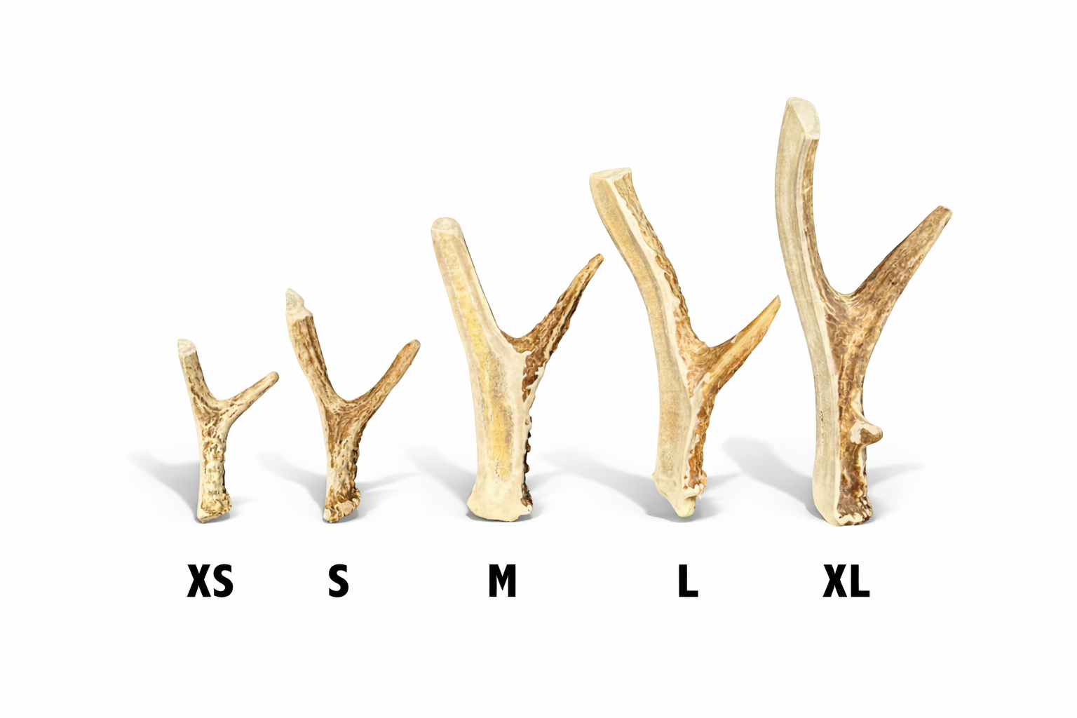 Deer Antler Dog Chews Split Bases with Tines.png