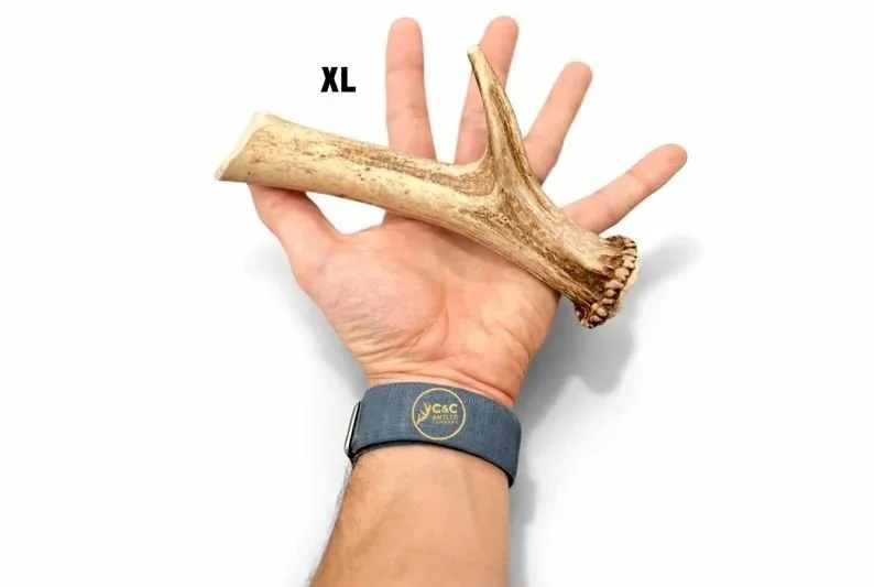 Deer+Antler+Dog+Chews+-+Base+With+Tine+XL.jpg