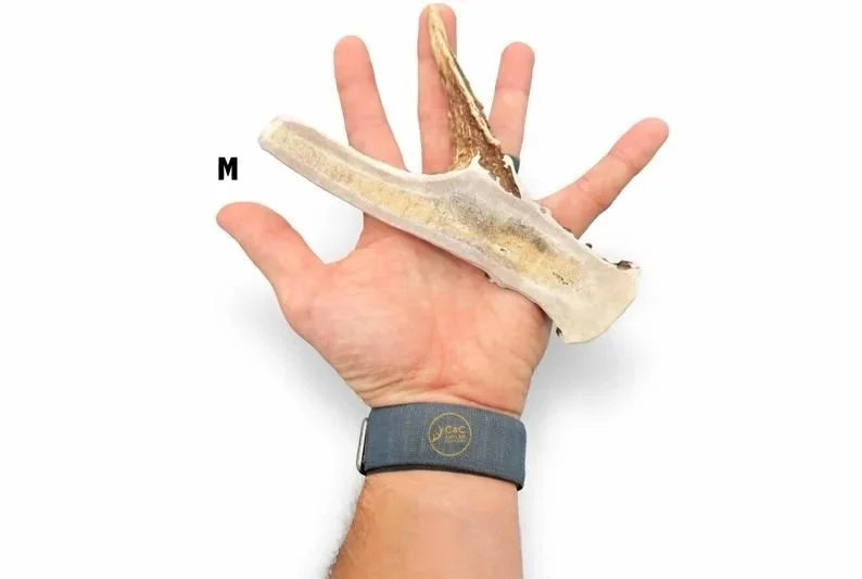 Deer+Antler+Dog+Chews+Split+Base+with+Tine+M.jpg