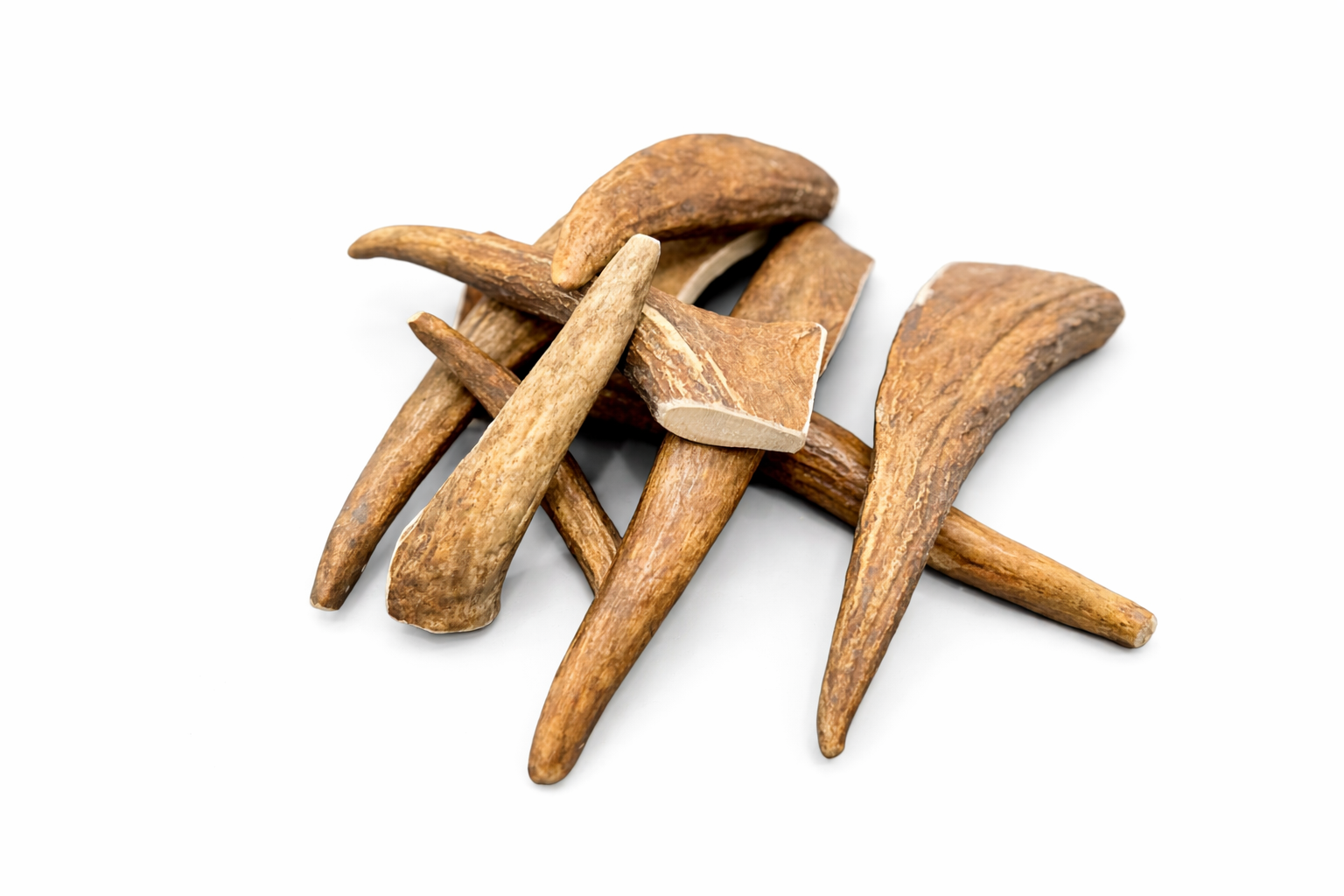 Moose Antler Tines Bundle.png
