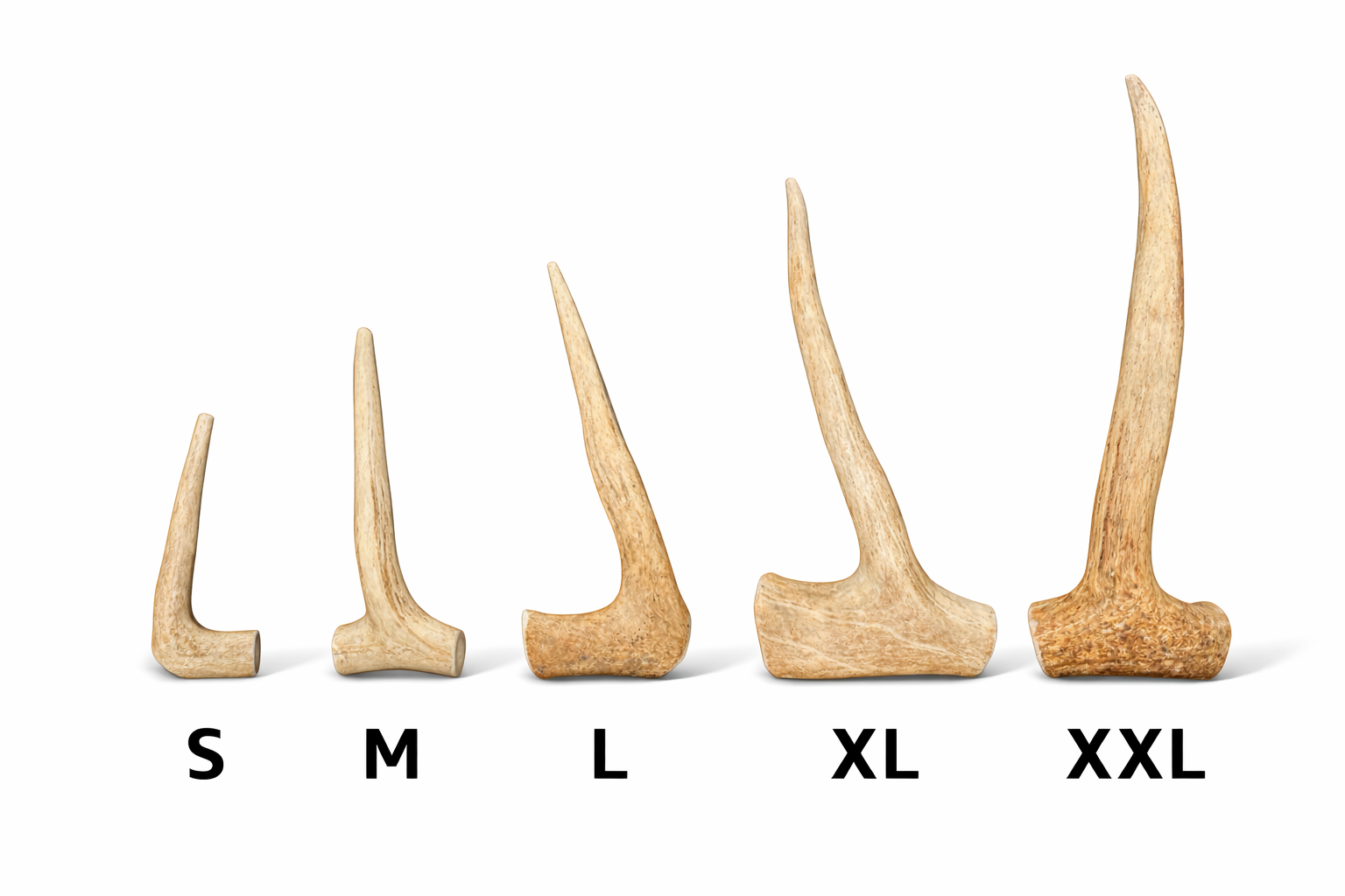 Deer Antler Dog Chews | Tine & Beam Combination | Sizes S–XXL