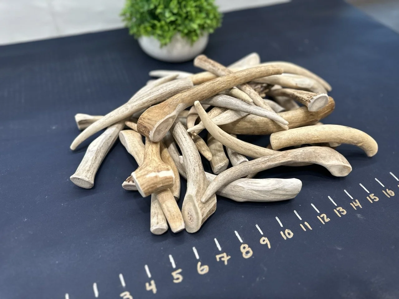 Deer Antler Dog Chews - Tines