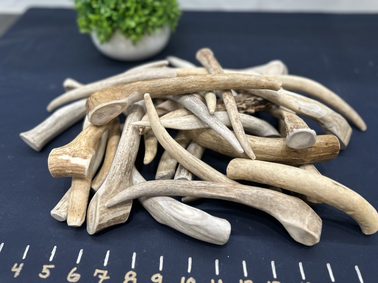 Deer Antler Dog Chews - Tines