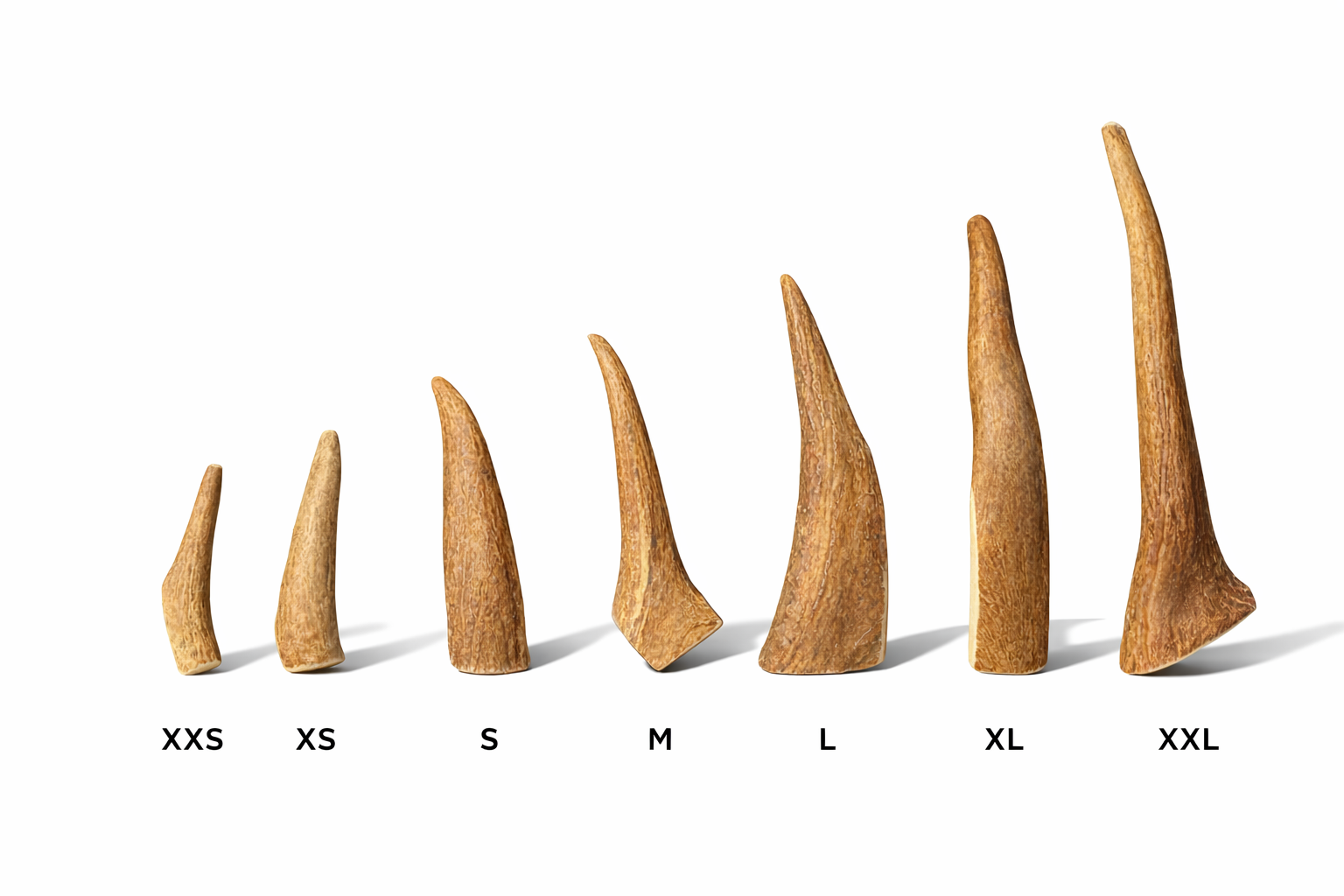 Moose Antler Dog Chews | Tines | Sizes XXS - XXL
