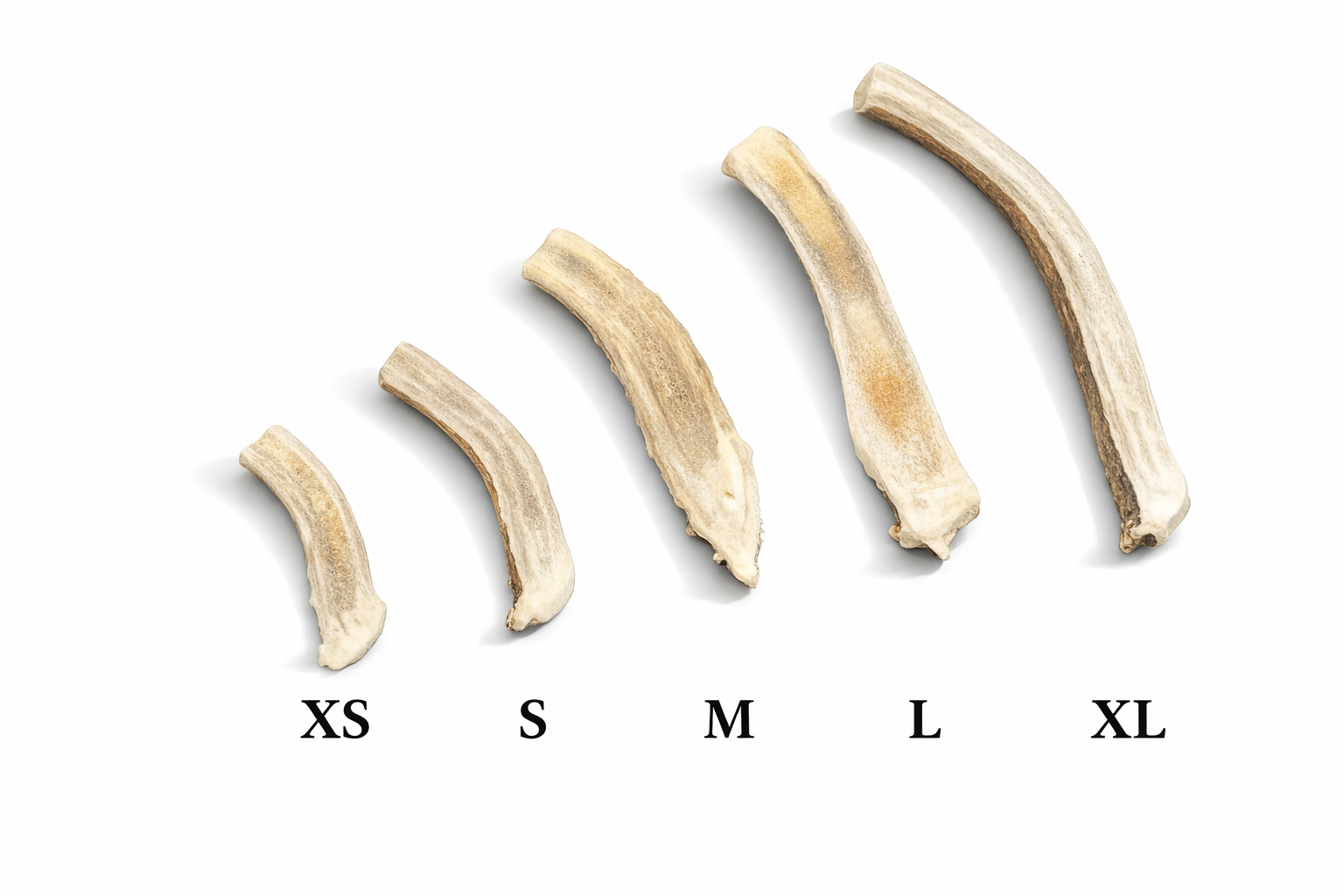 Deer Antler Dog Chews Split Bases 2.png