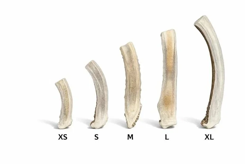 Deer Antler Dog Chews | Split Bases | Sizes XS - XL
