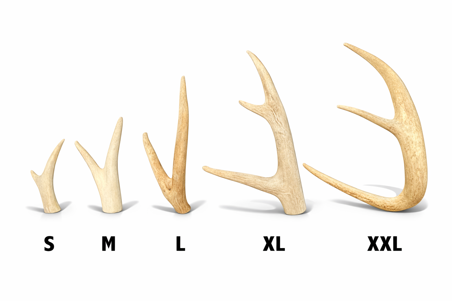 Deer Antler Dog Chews | Beam Ends (Tines Included) | Sizes S - XXL