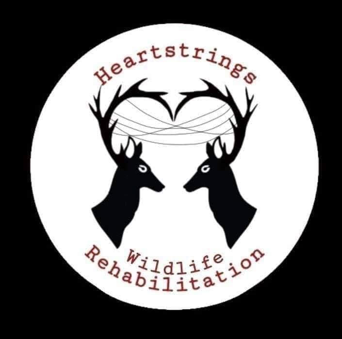 Heartstrings Wildlife Rehabilitation Logo