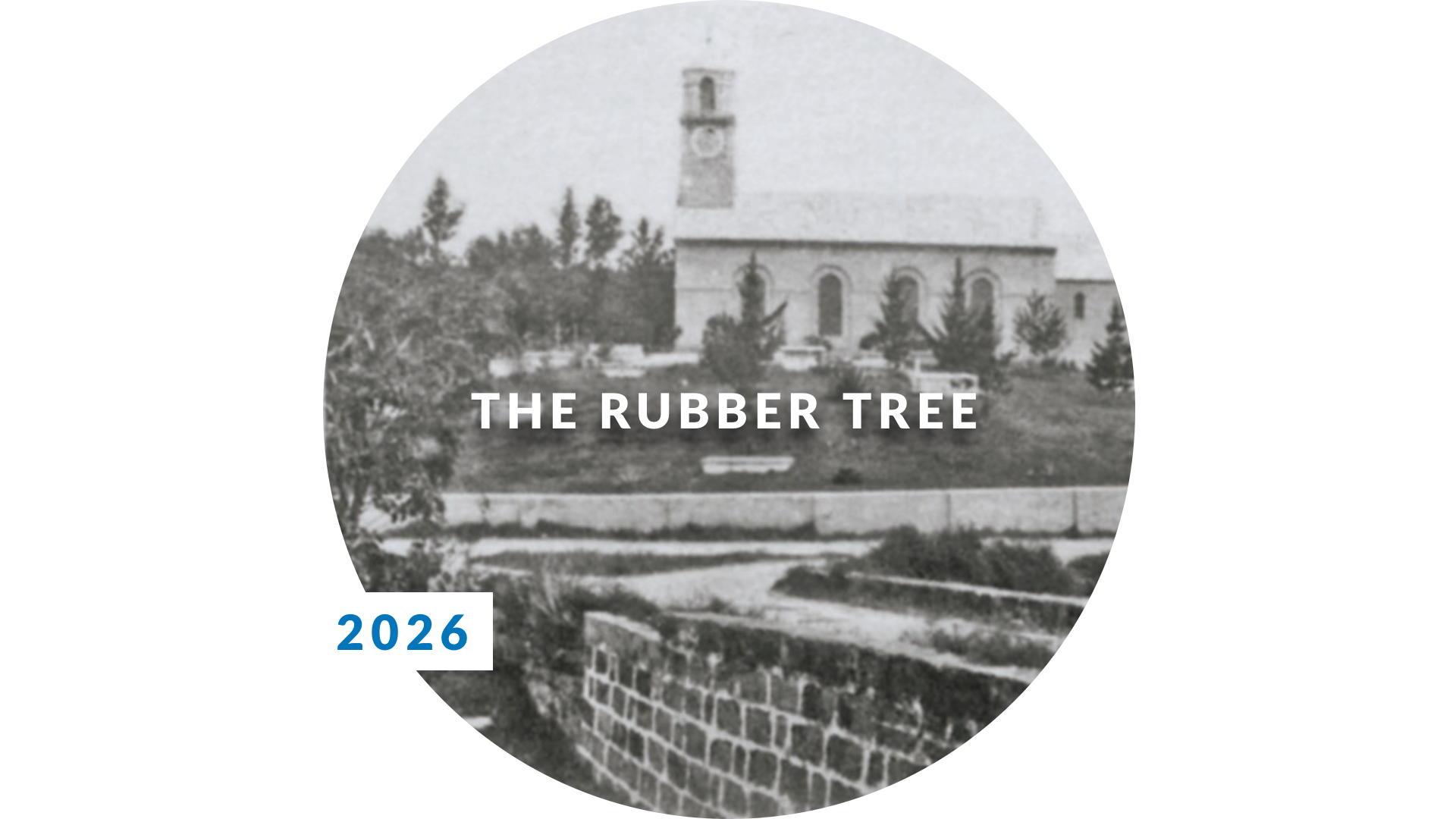 rubber tree.png