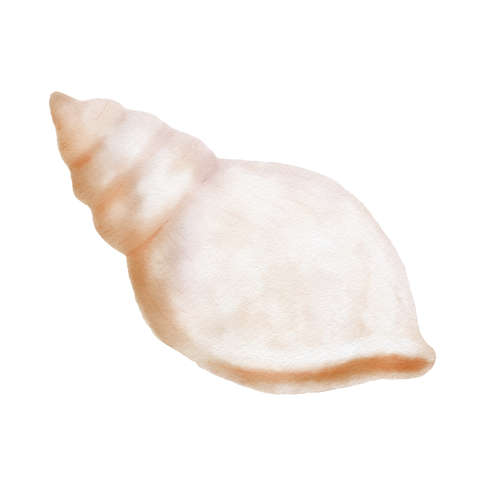 Watercolor illustration of a steamed dumpling, or bao, with a folded, pleated top.