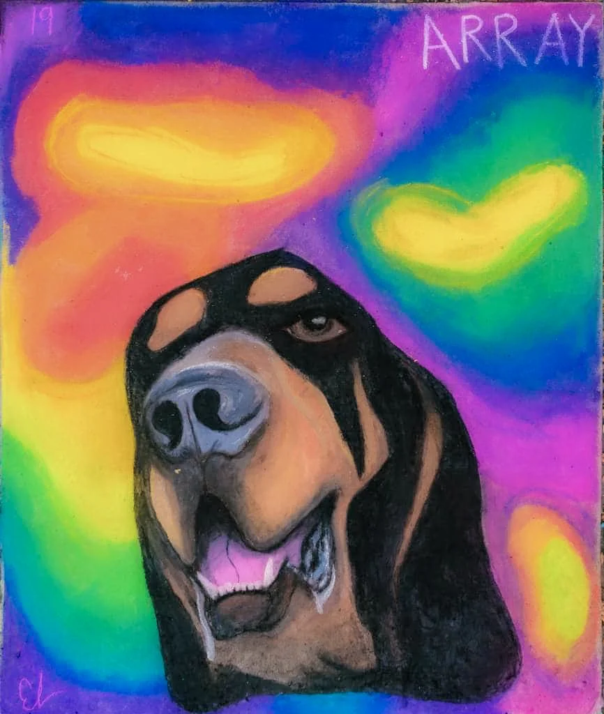 A colorful drawing of a Rottweiler dog with a rainbow background featuring clouds and the word 'ARRAY' written in the top right corner.