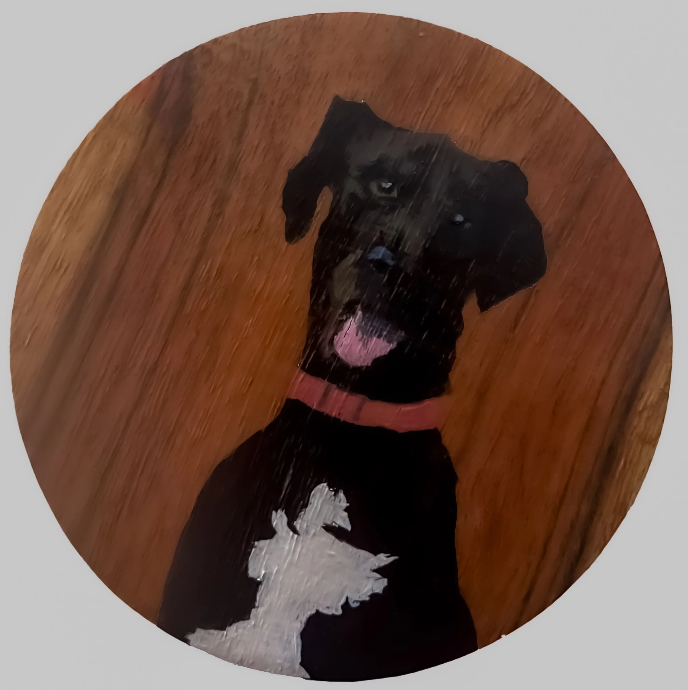 A circular wooden plaque with a painted portrait of a black dog with a pink tongue, wearing a pink collar, and a white paw print on its chest.
