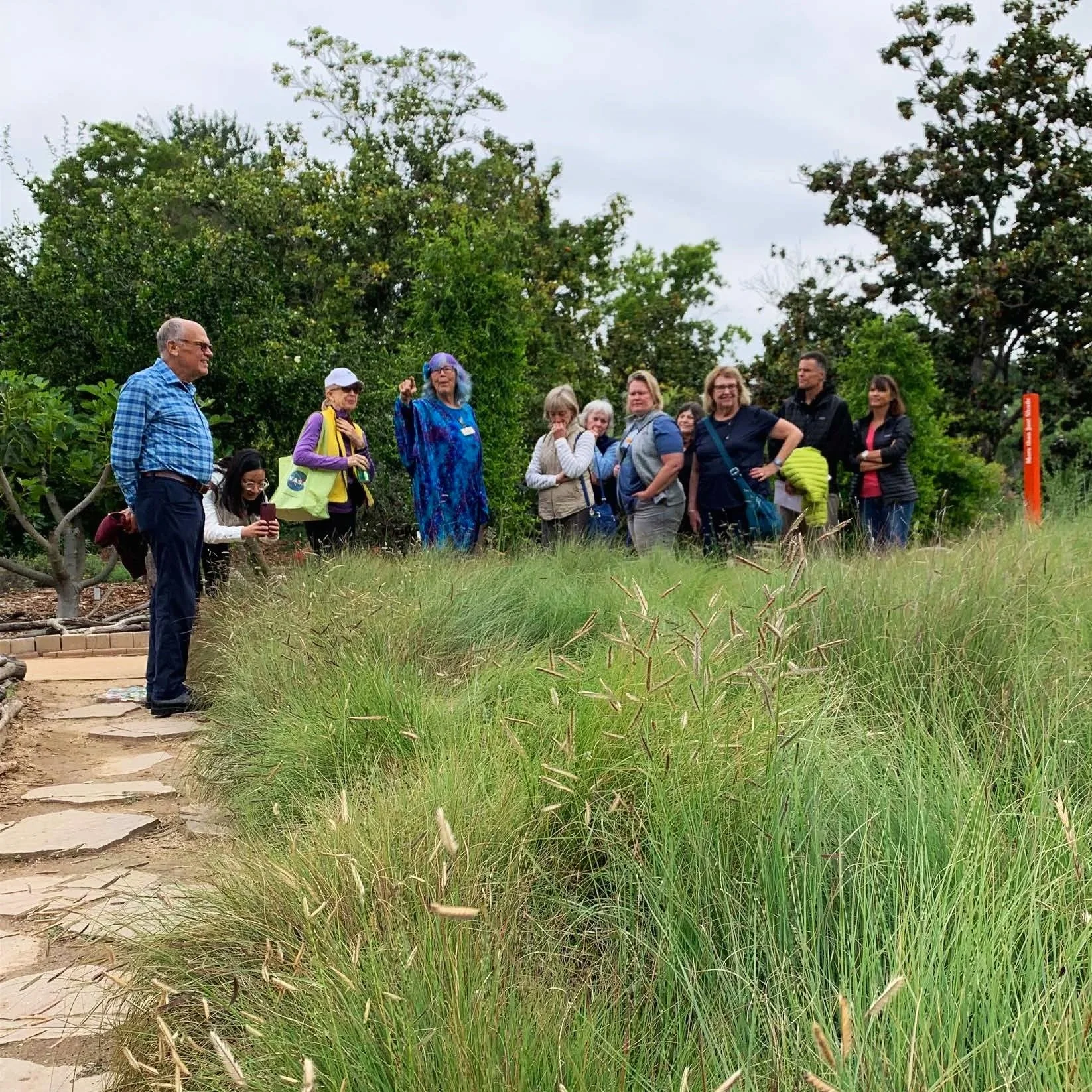 Regen Design Course IG_Page_6.jpg