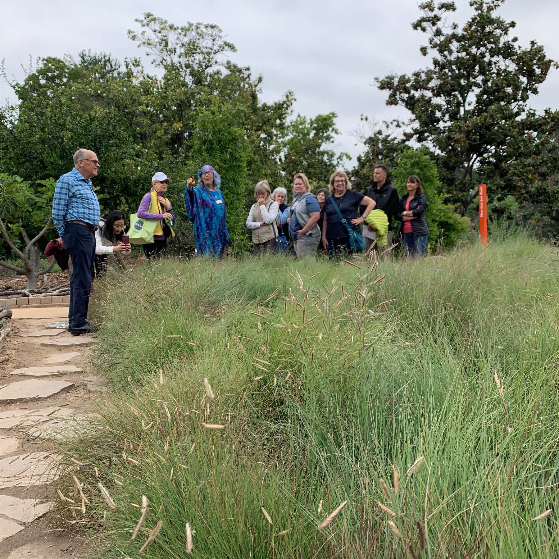 4-Part Landscape Design Workshop Series for Fire-Impacted Homeowners