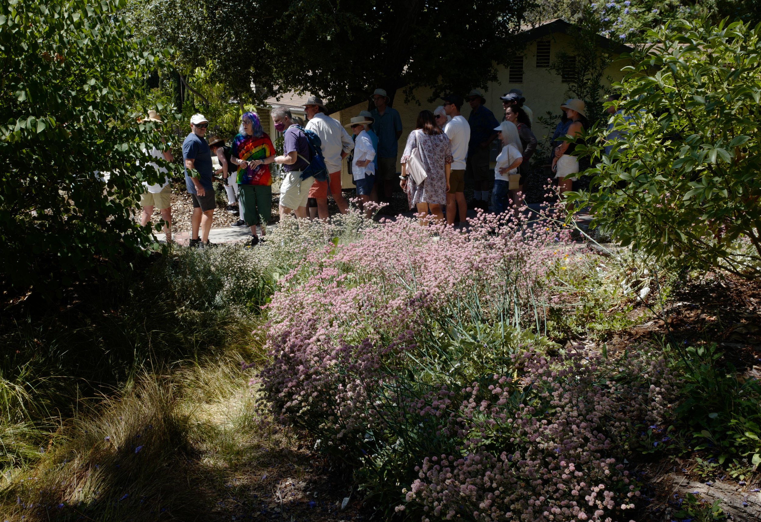 Becoming an Ecotoner: A Walk-and-Talk for Fire-Impacted Neighbors