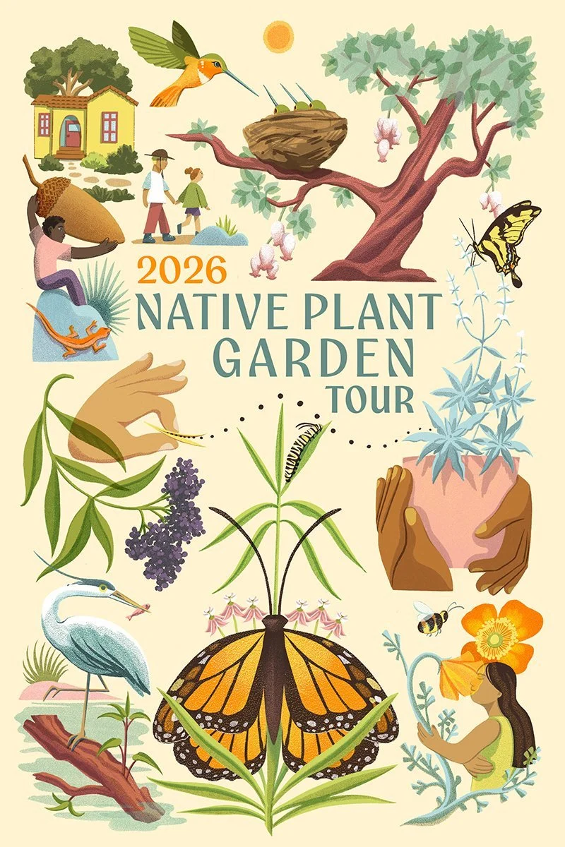 Theodore Payne Native Plant Garden Tour