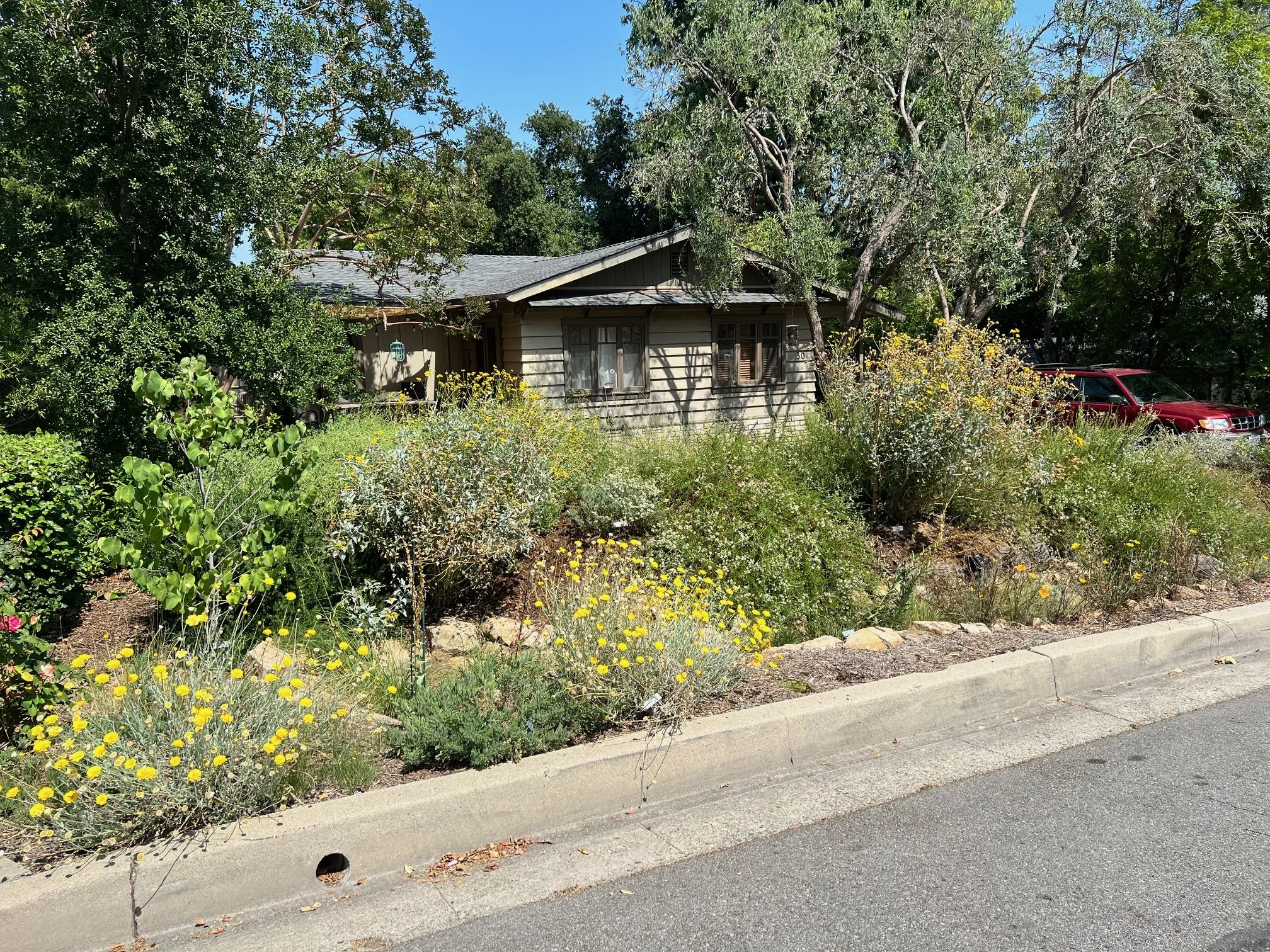 Ecotone Landscapes: A Resilient Garden Tour