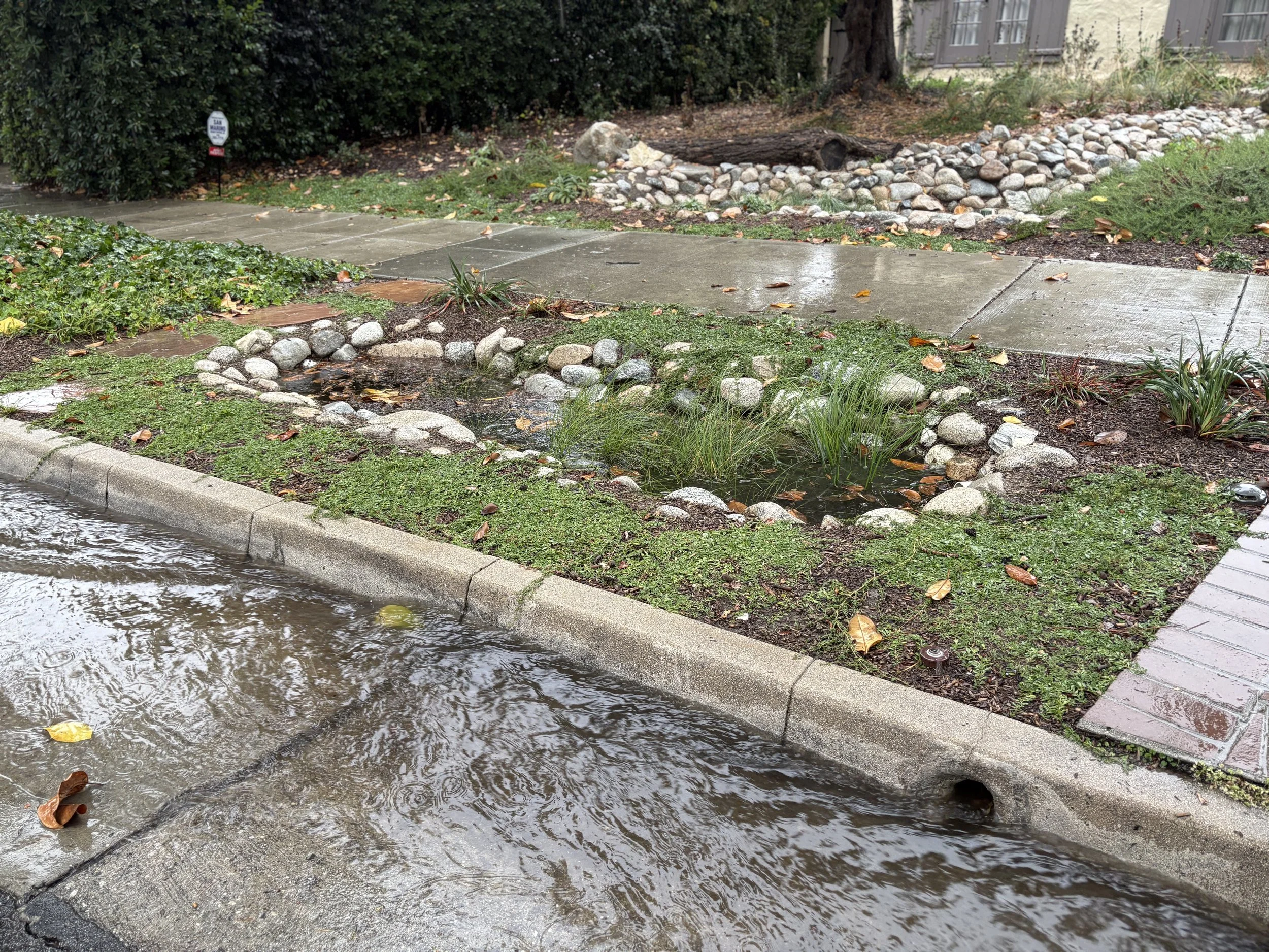 Rainwater Harvesting Workshop - PART TWO - (Observing the Rain Garden Build)
