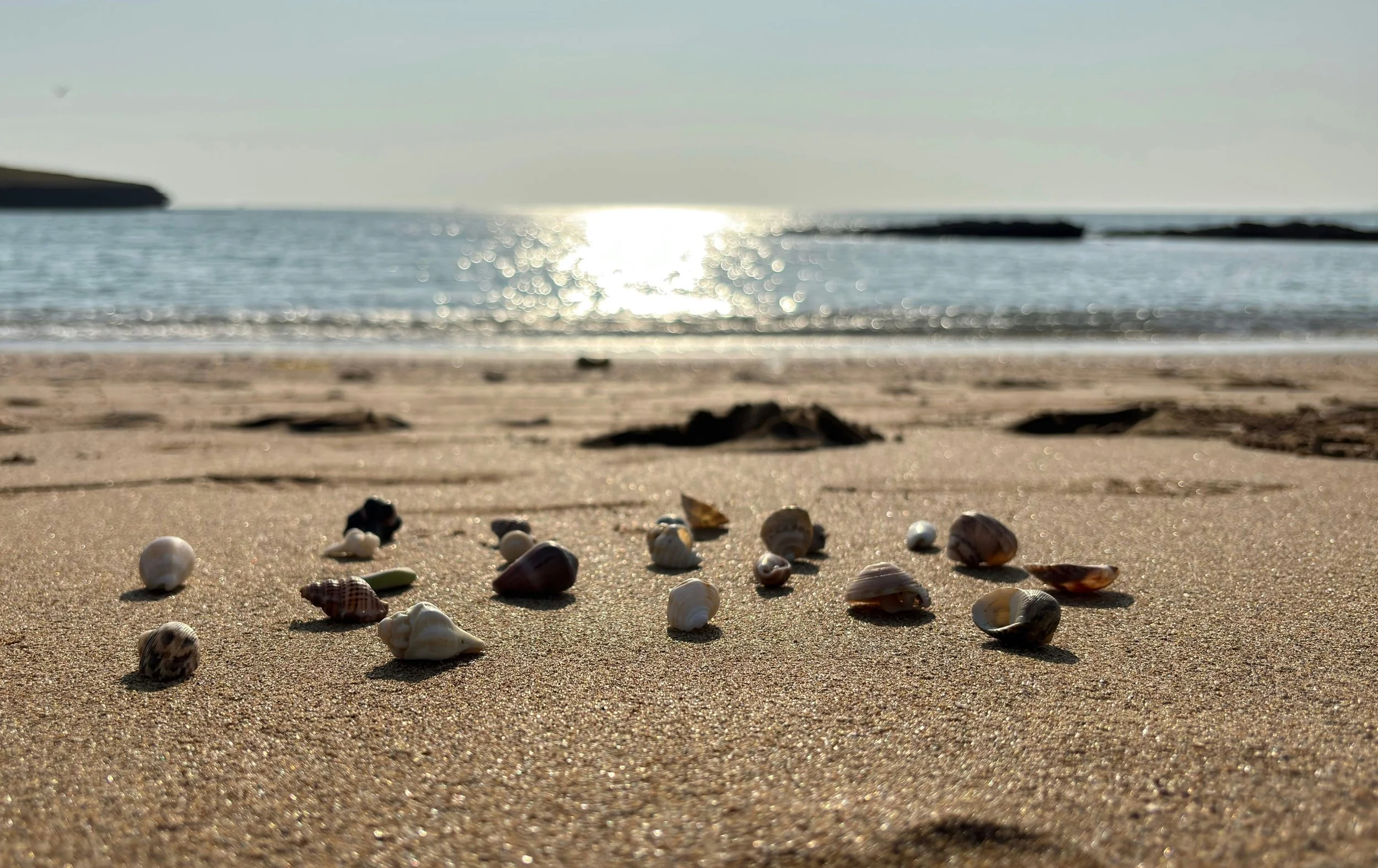 Food for Thought, When Reality Stops Being “Normal”