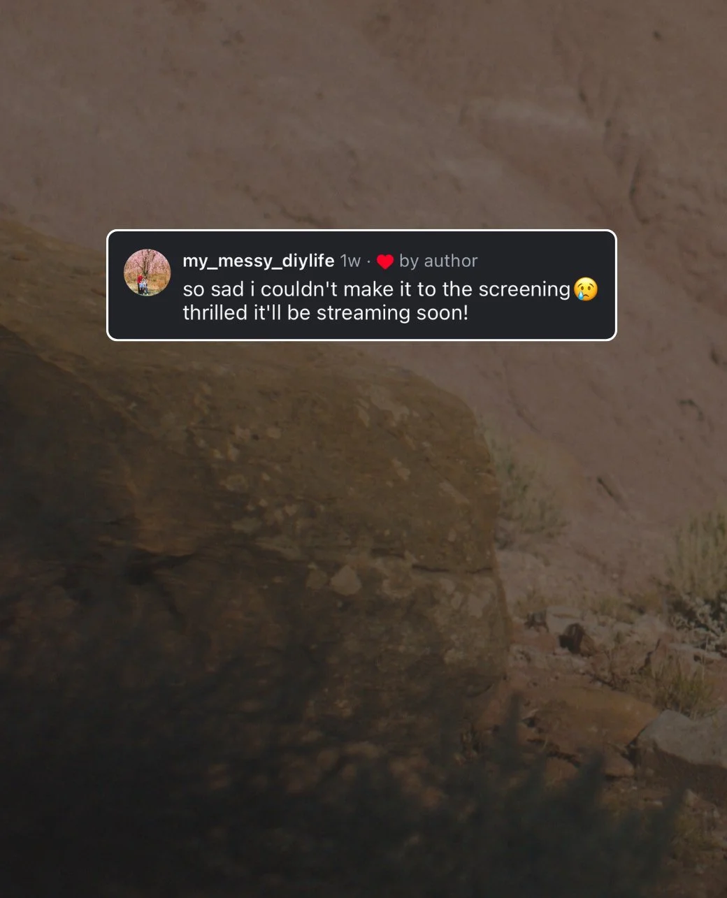 THE WILDERNESS is now streaming at home. 90% on Rotten Tomatoes. Available on @amazon, @youtube, @googleplay.⁠
⁠
Comment "THE WILDERNESS" for the rental link.