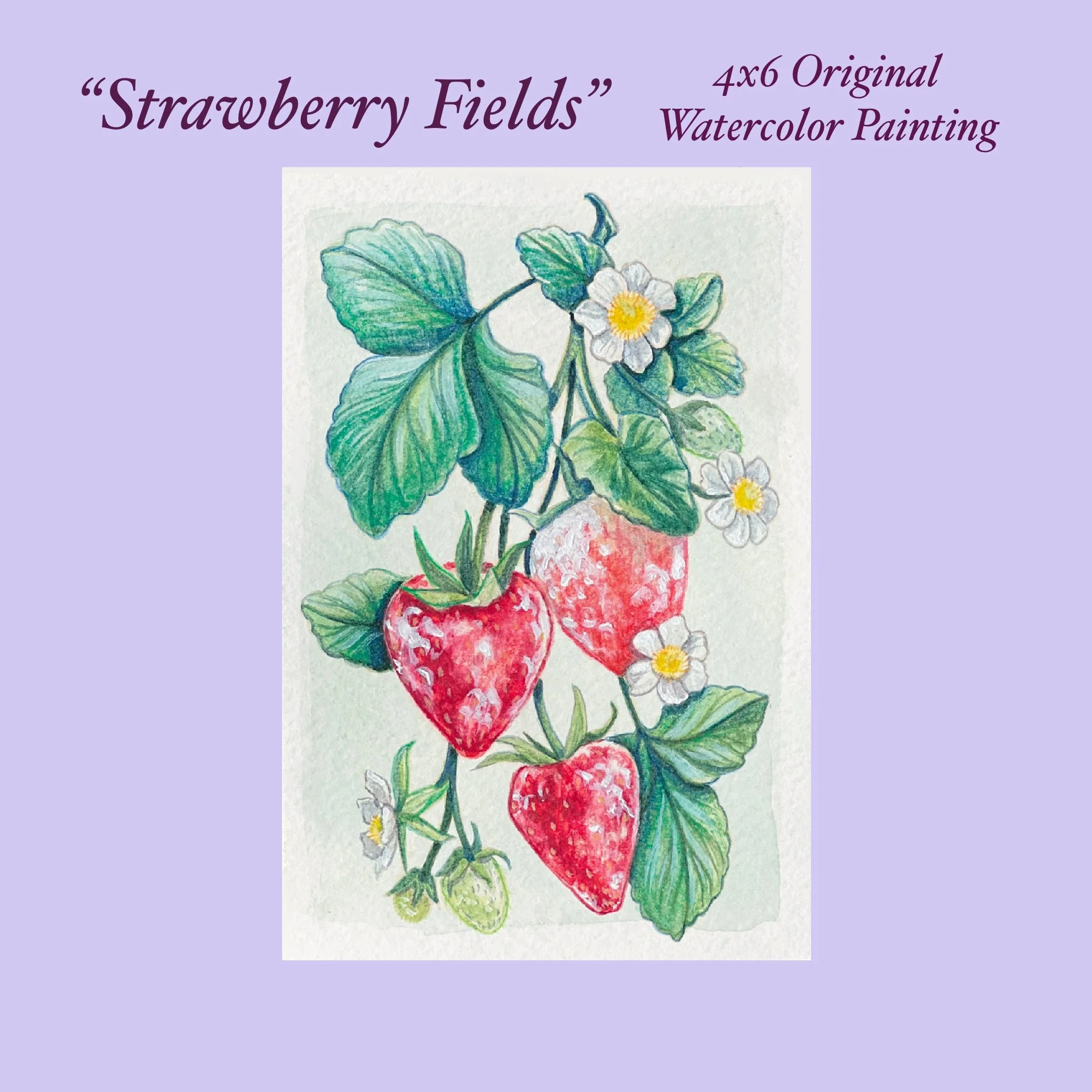 "Strawberry Fields"- 4x6 Original Watercolor Painting