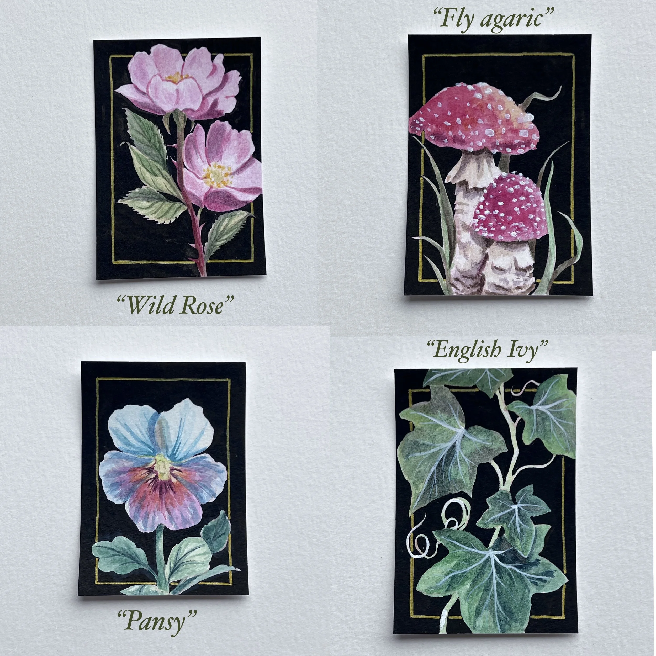 1st Edition~ Garden Clippings