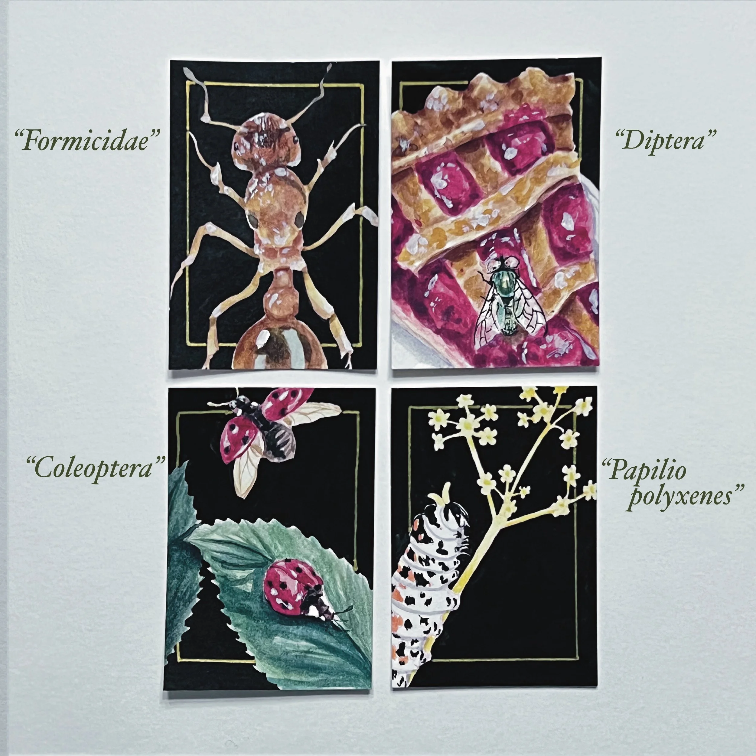 1st Edition~ Buggin' Out