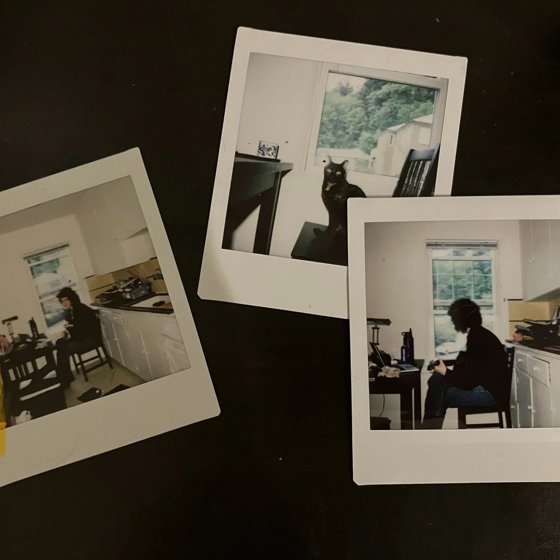 Three Polaroid photos of a person in a kitchen and a cat on a table.