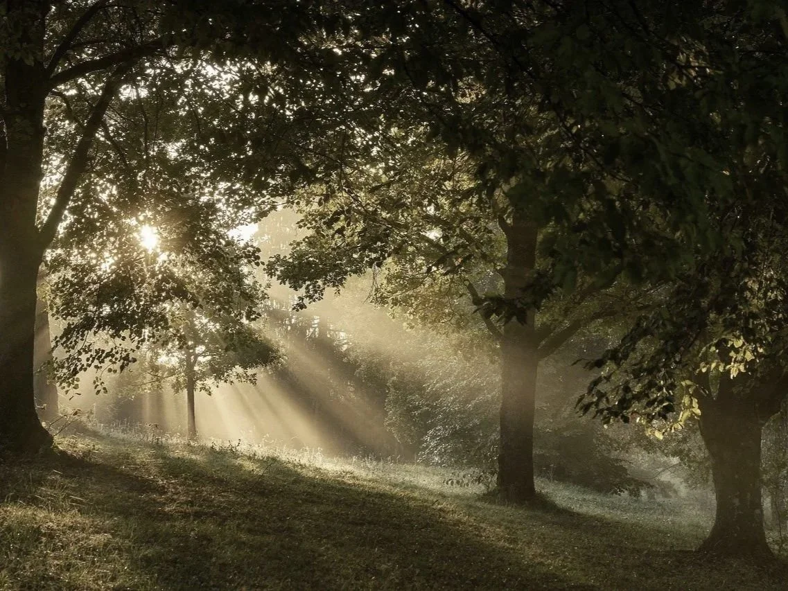 Possibility Is Powerful 