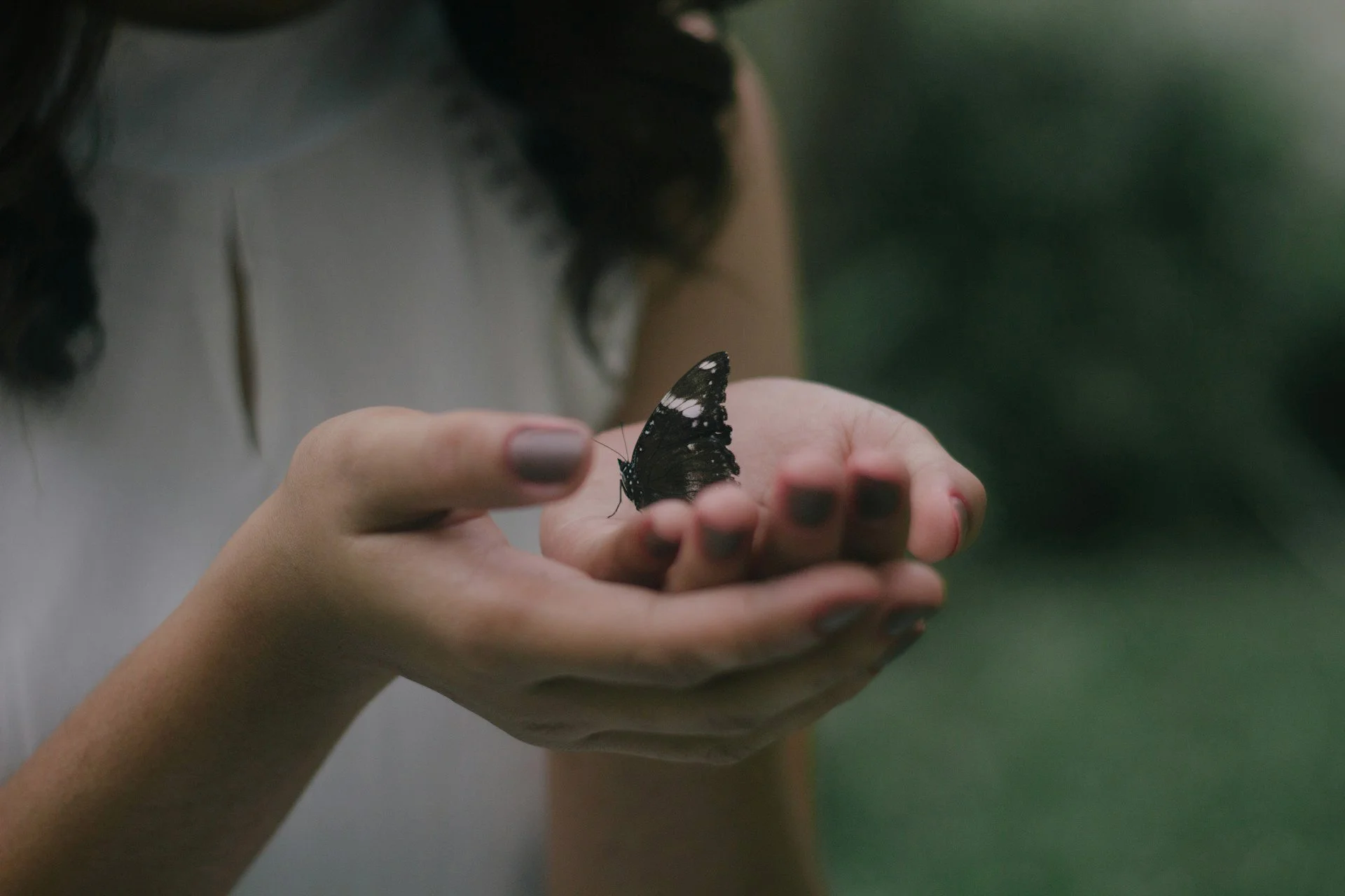 A small black butterfly being cradled in a woman's hands.
