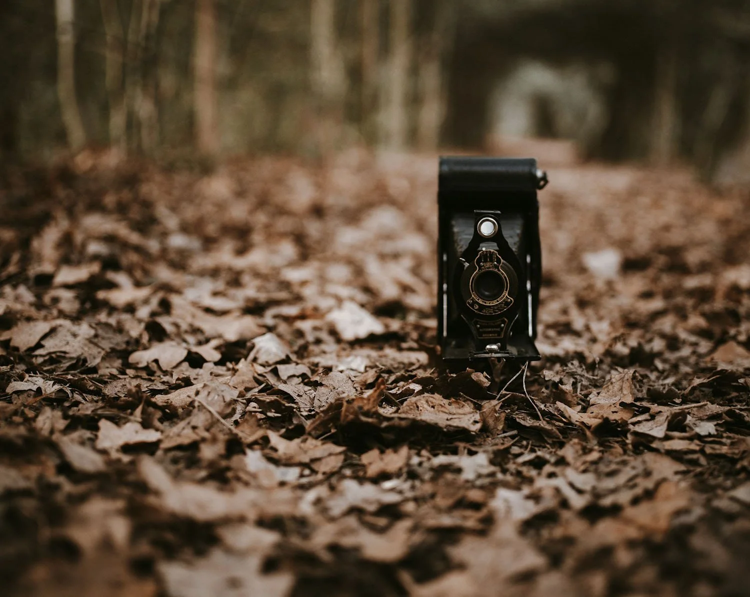 A vintage camera on the ground amongst a floor of leaves.