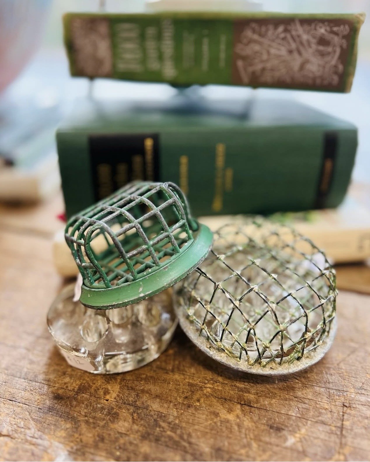 What Is a Flower Frog? The Vintage Tool That Still Works Today